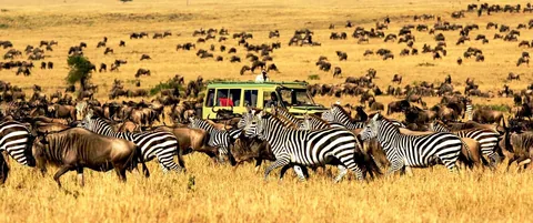 Serengeti National Park – Big Five