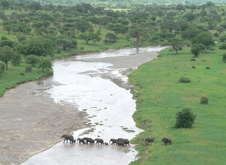 Tarangire National Park – photo 1