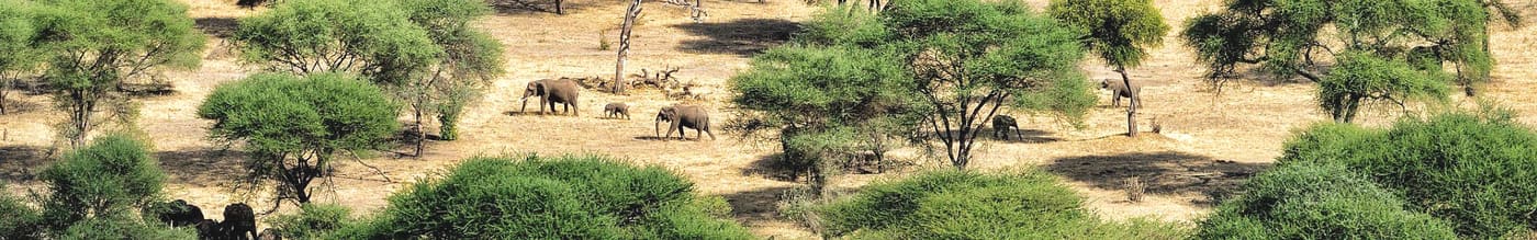 Tarangire National Park