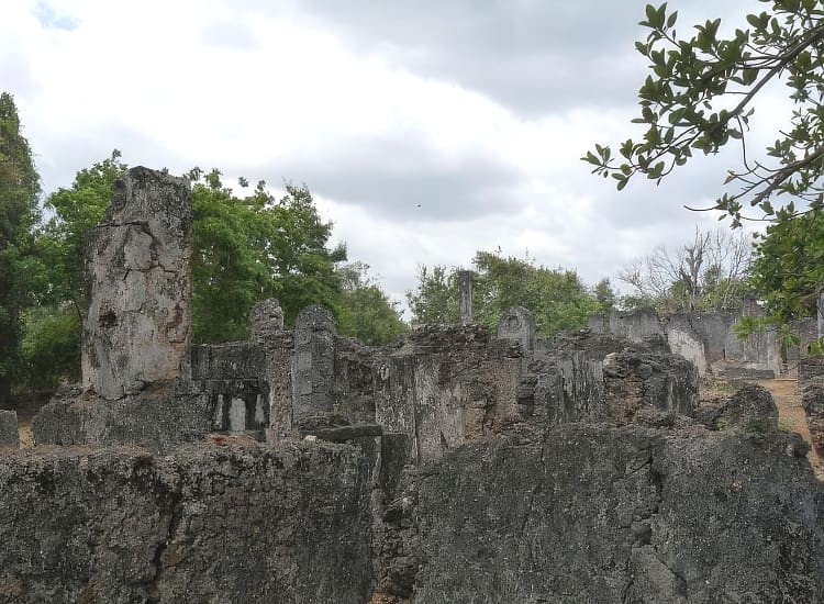 Tongoni Ruins, Tanga – photo 2