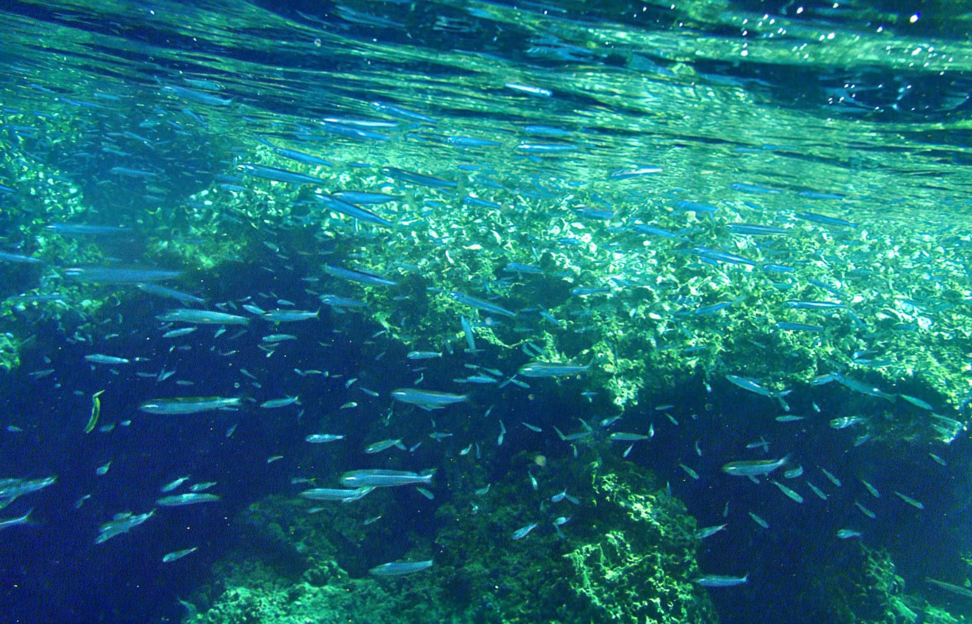 Chole Bay & Fisherman Island
