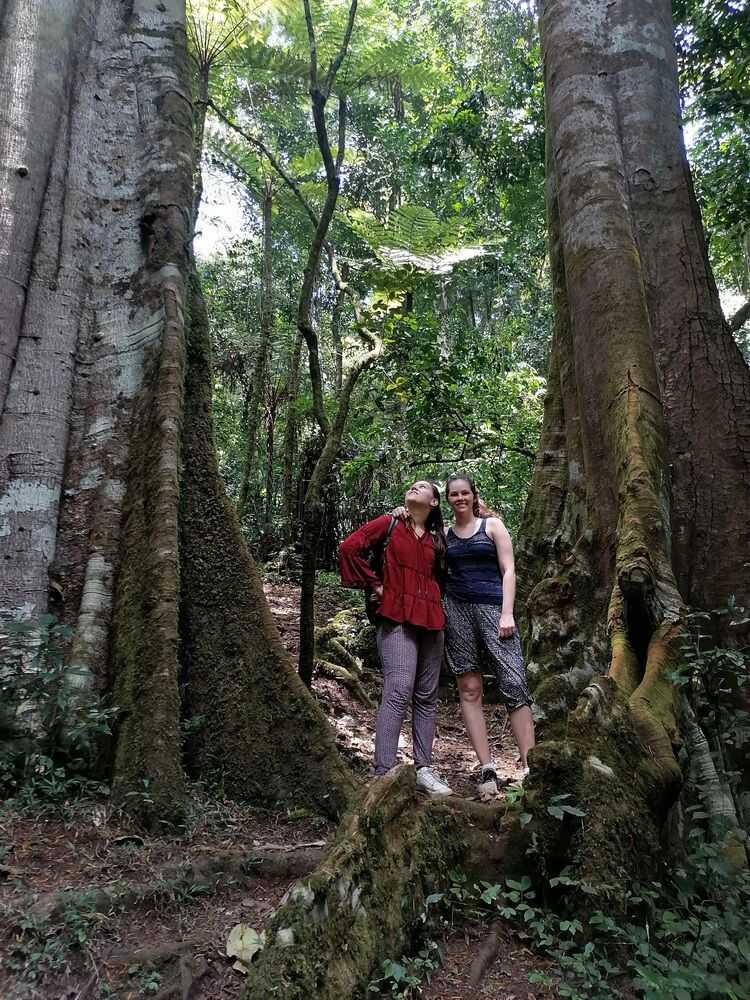 Usambara Mountains