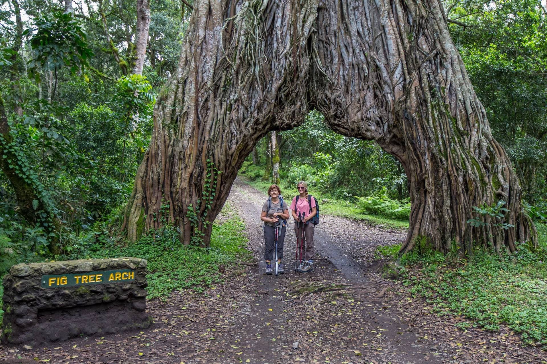 Day Trip to Mount Meru Waterfalls Hike