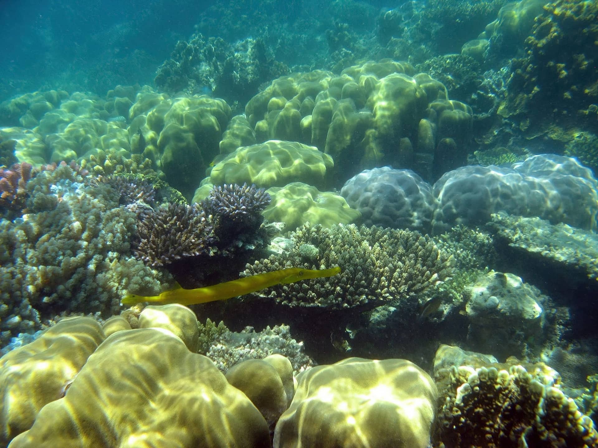 Mnazi Bay - Ruvuma Estuary Marine Park