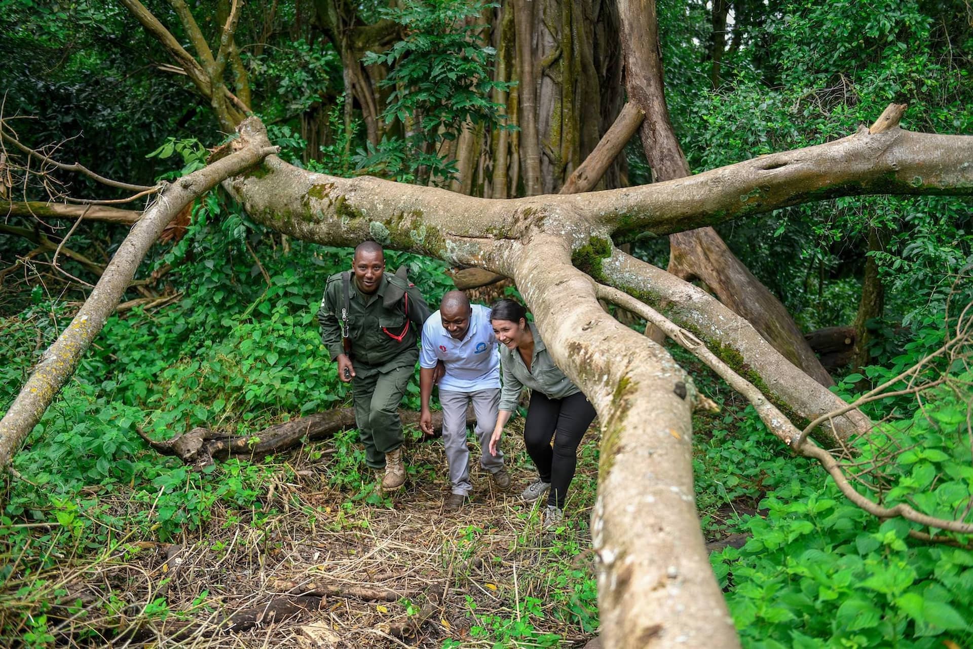 2 Days Tarangire & Ngorongoro Crater Safari