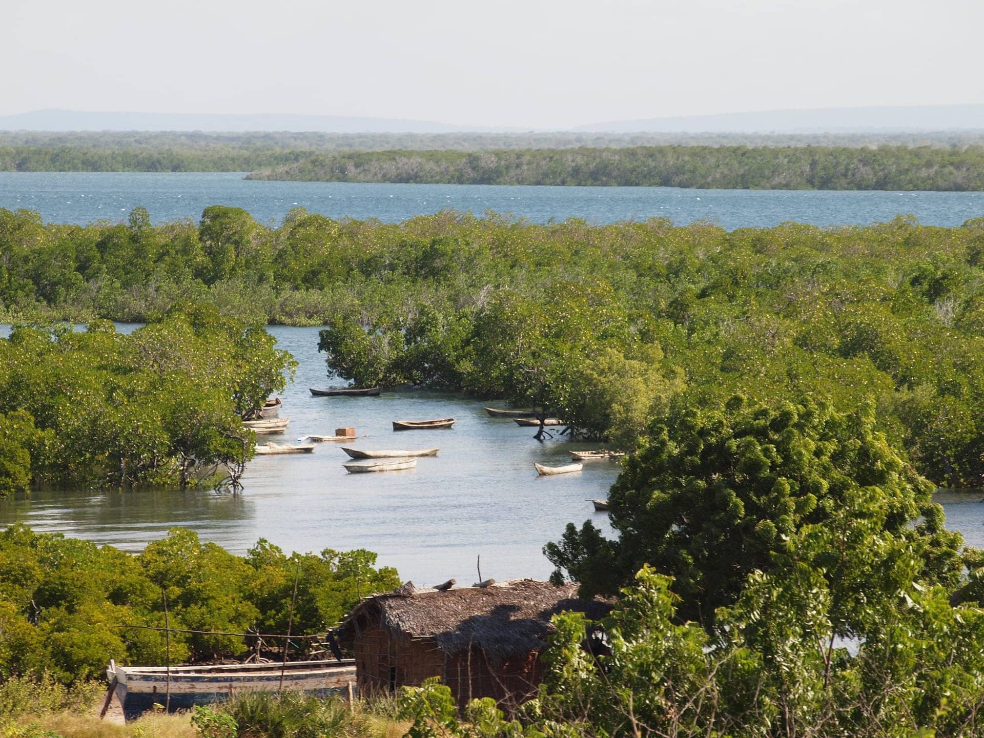 Kilwa