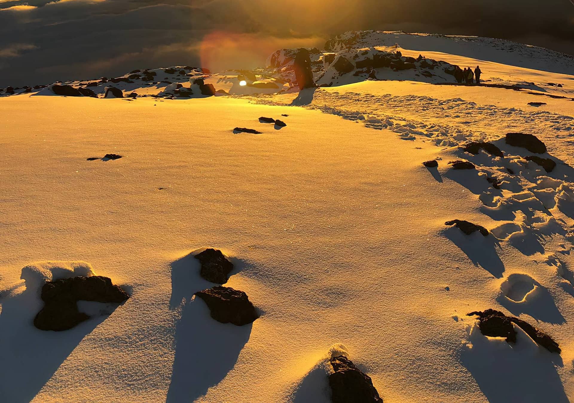 7 Days Kilimanjaro Trek via Machame Route (Option 1)