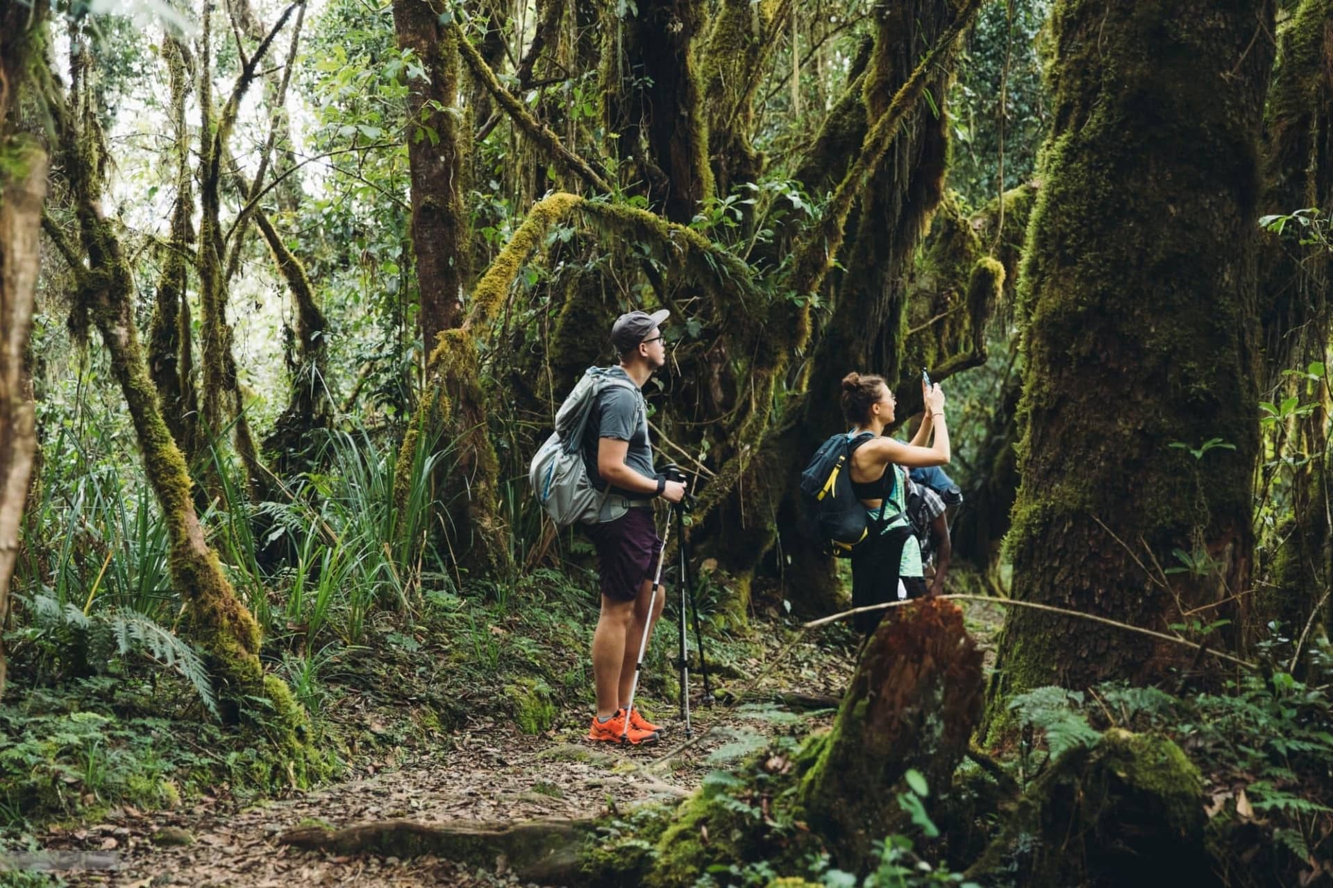 Day Hike Mount Kilimanjaro via Machame Route