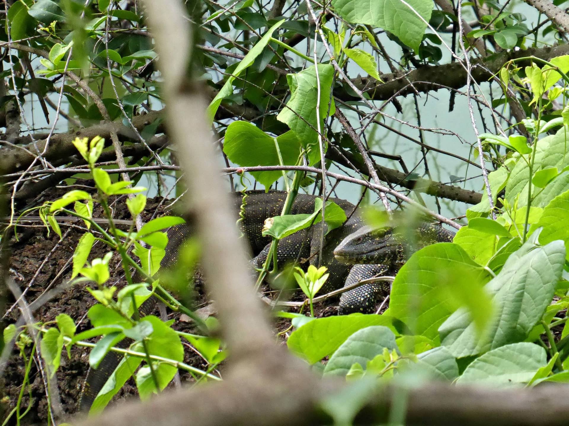 Day Trip to Lake Duluti