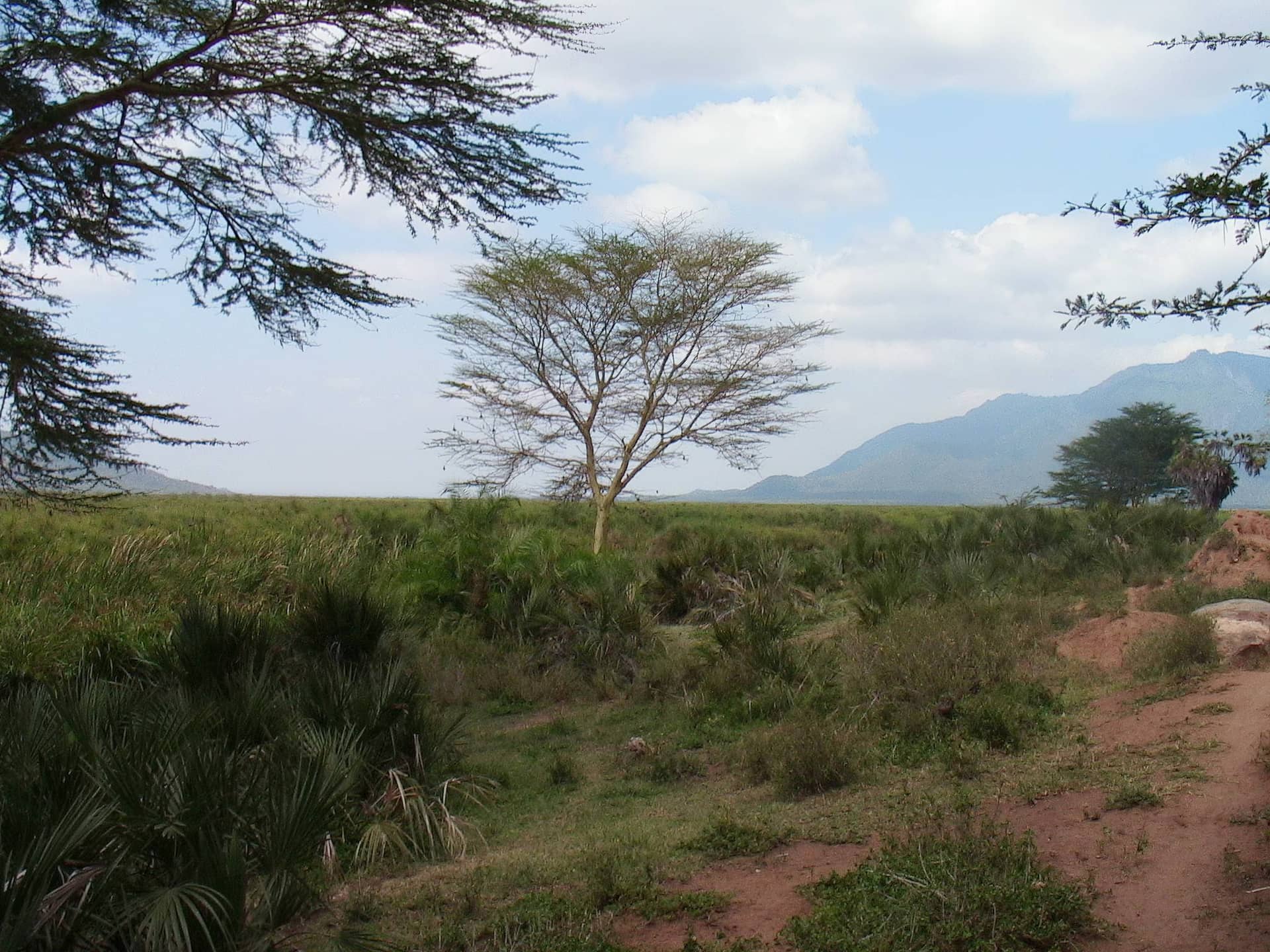 Day Trip to Lake Jipe