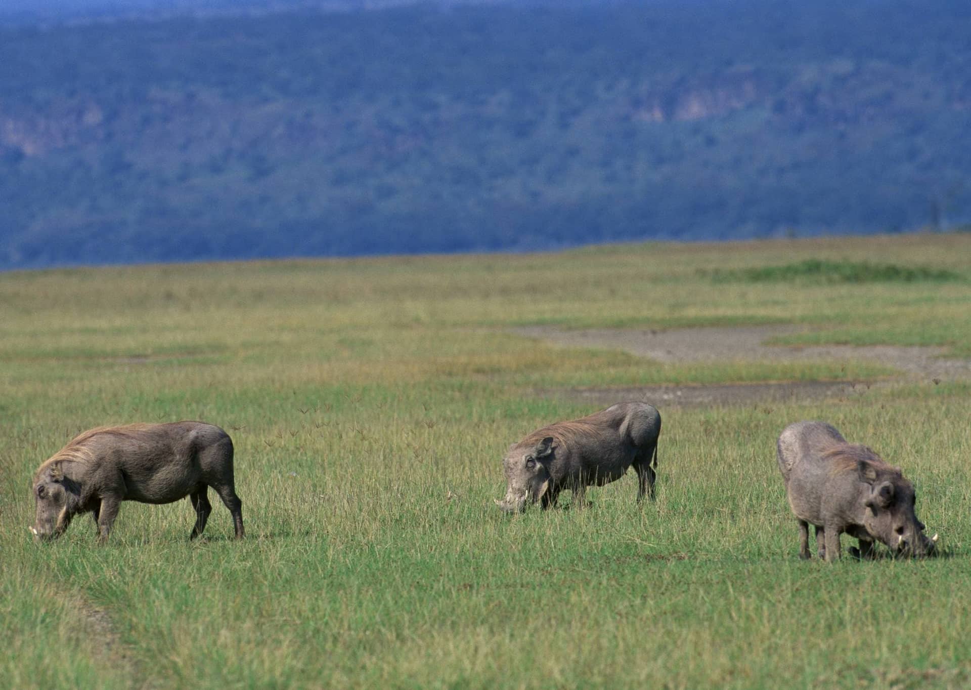 Lake Manyara National Park