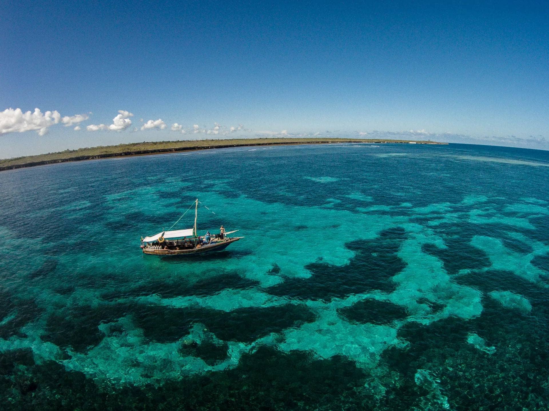 Mafia Island Marine Park