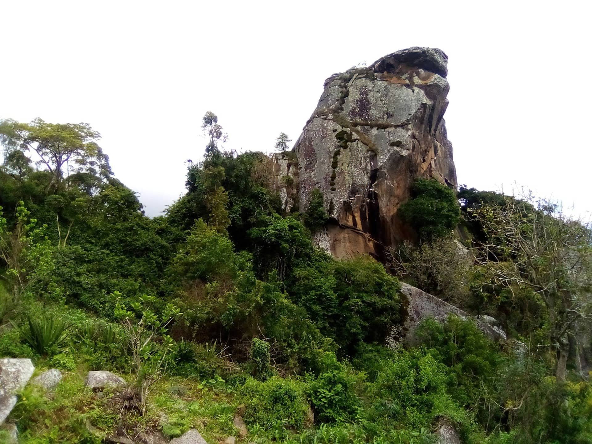 Day Trip to South Pare Mountains