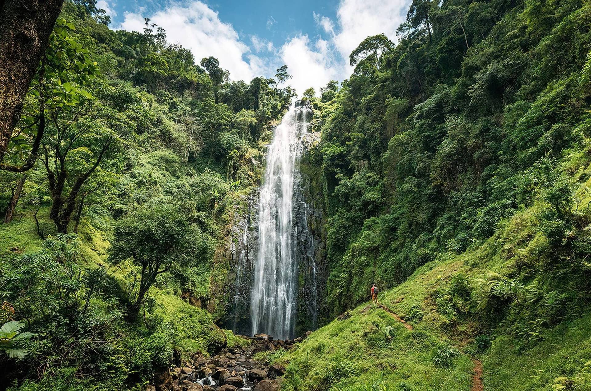 Day Trip to Materuni Waterfalls and Coffee Tour