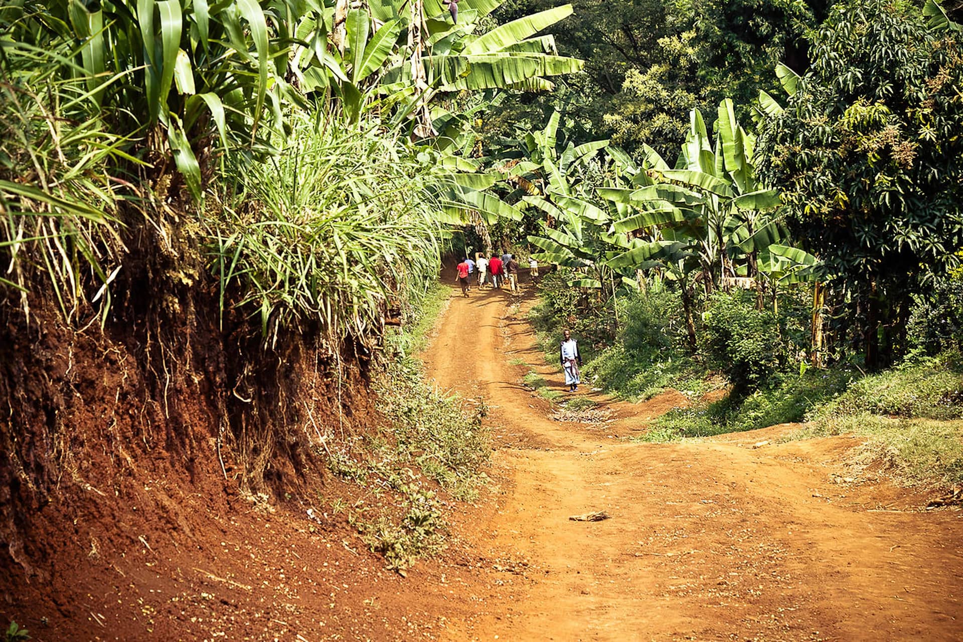 Materuni Waterfalls