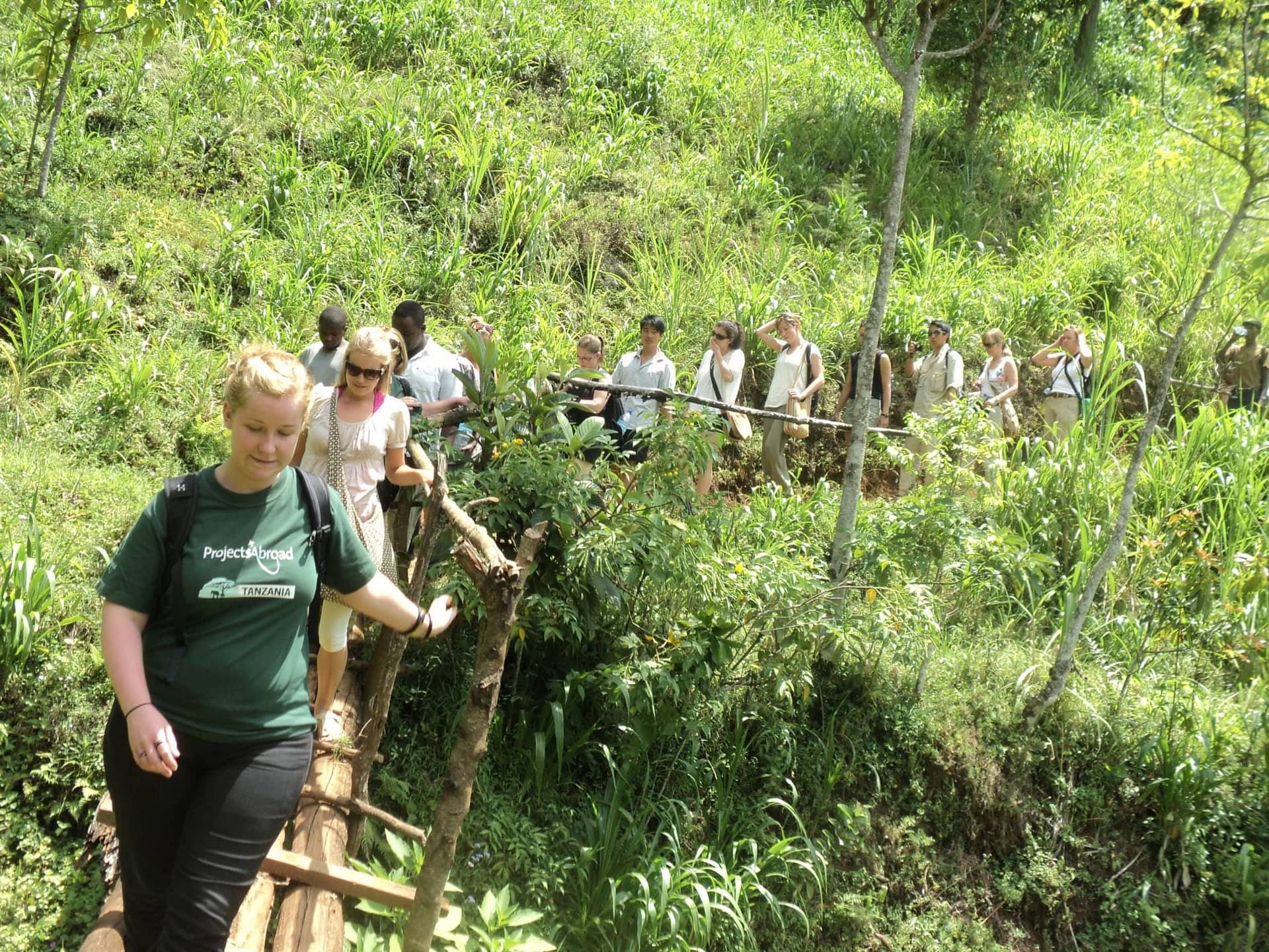 Day Trip to Materuni Waterfalls and Coffee Tour