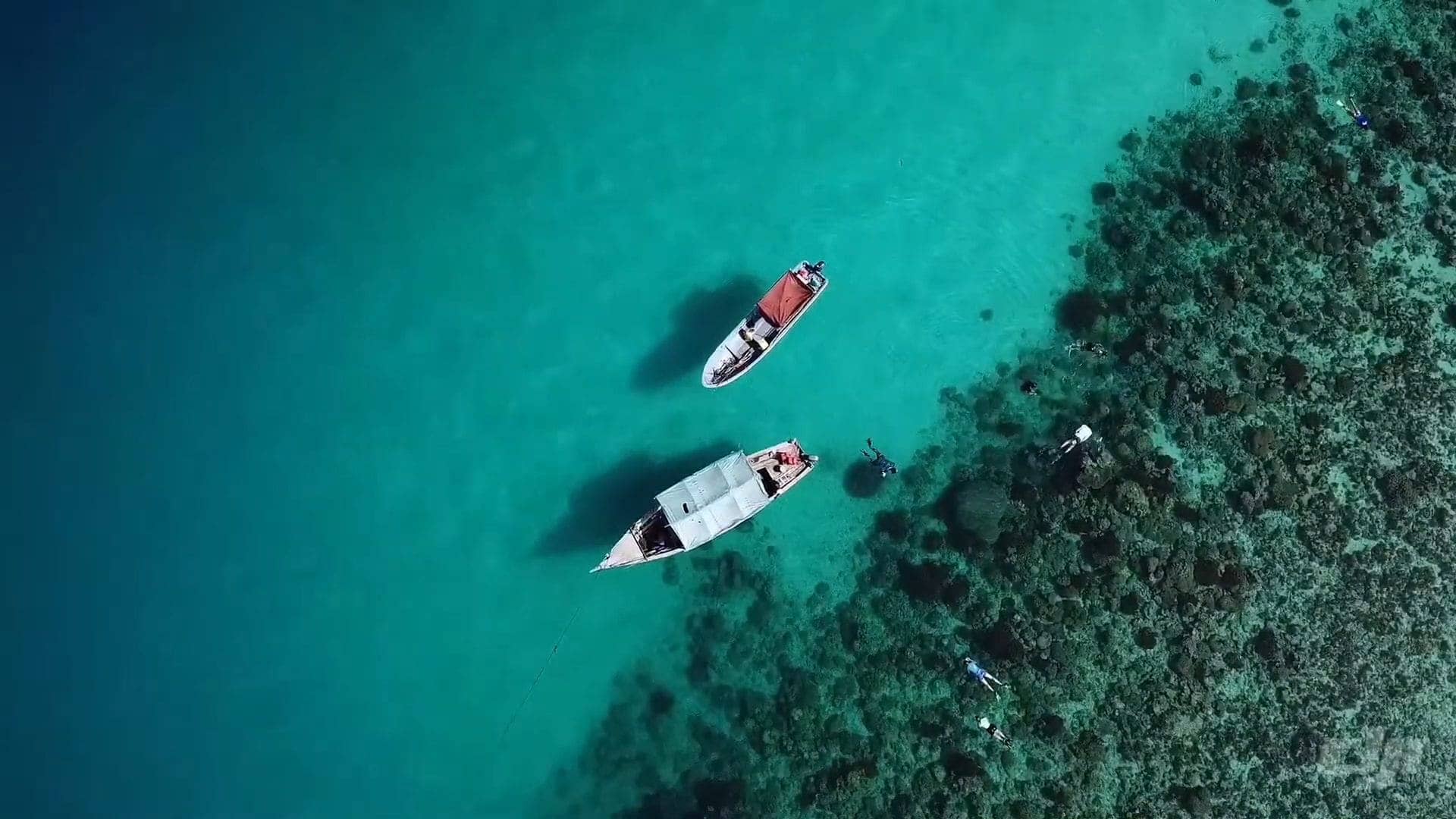 Pangani