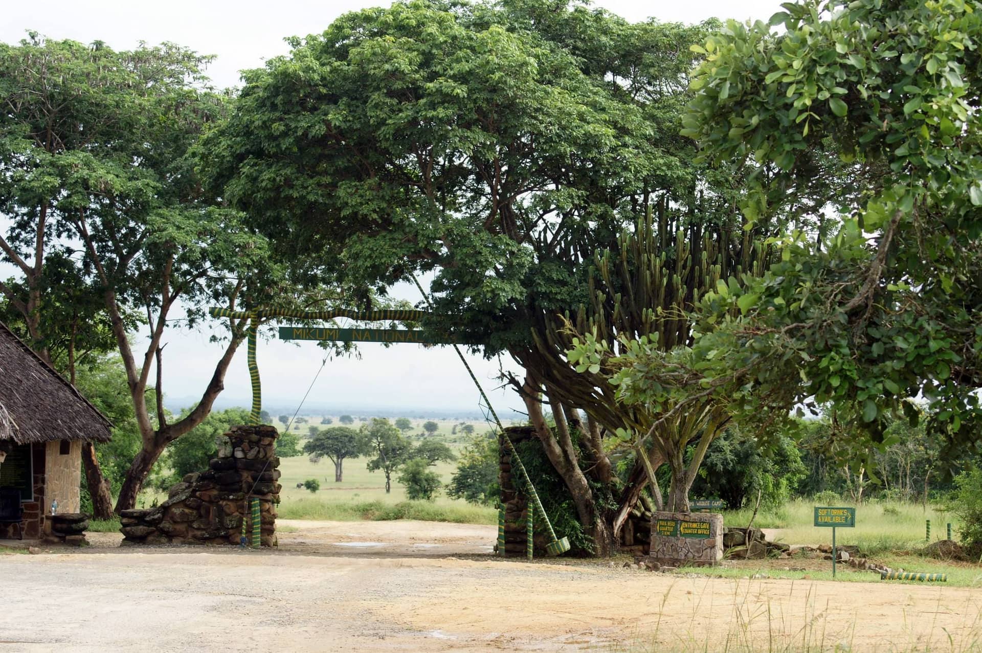 Mikumi National Park – 2 Days