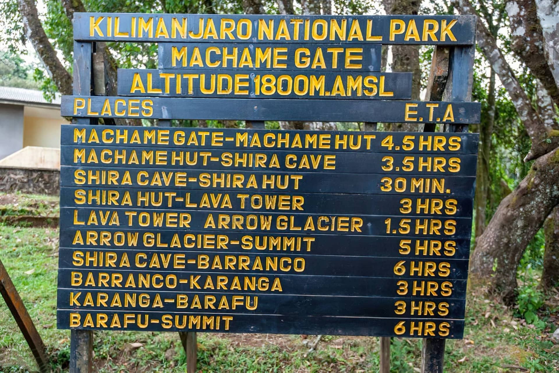 Kilimanjaro Marangu Day Hike