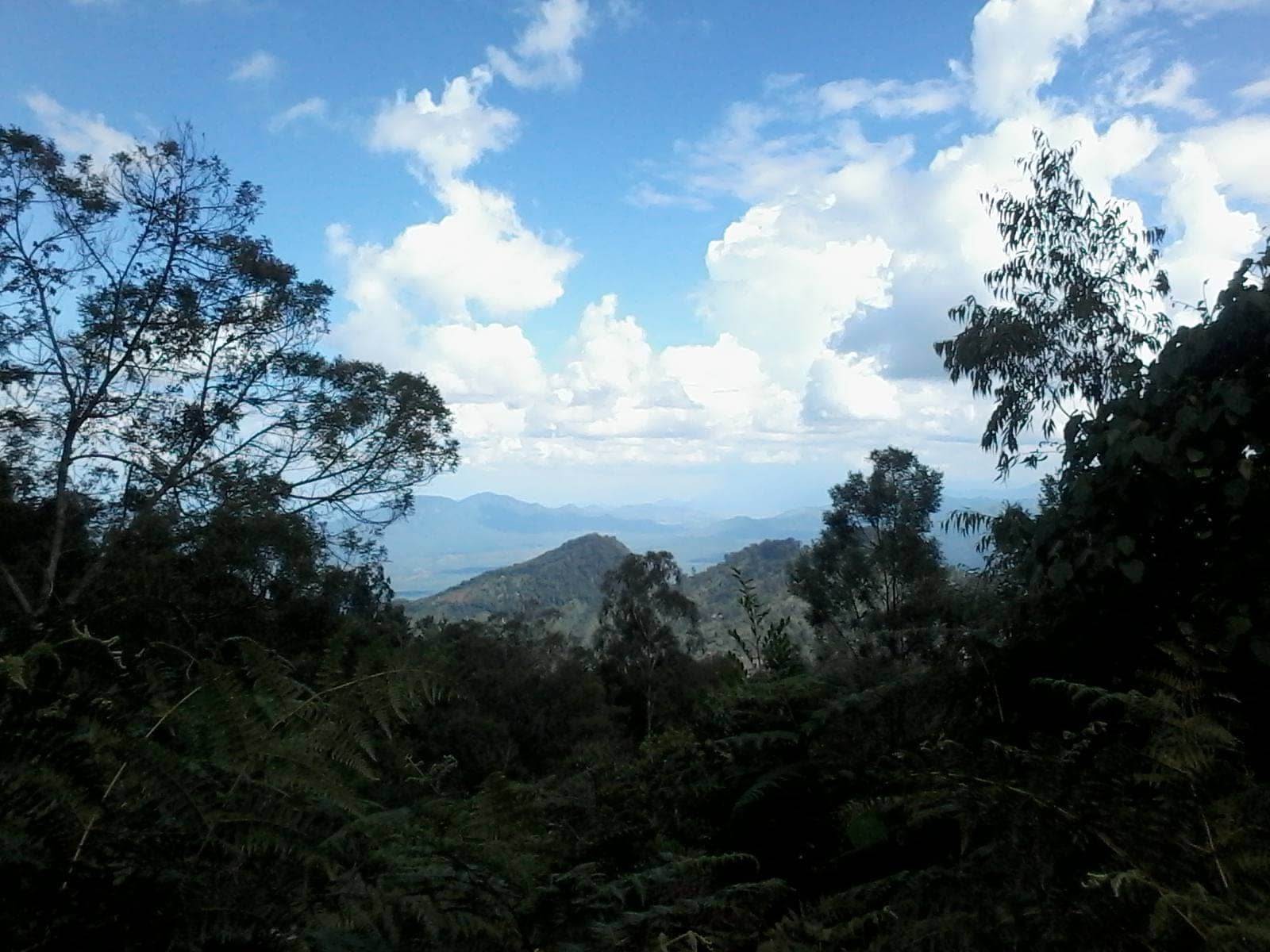 Pare Mountains – Experience