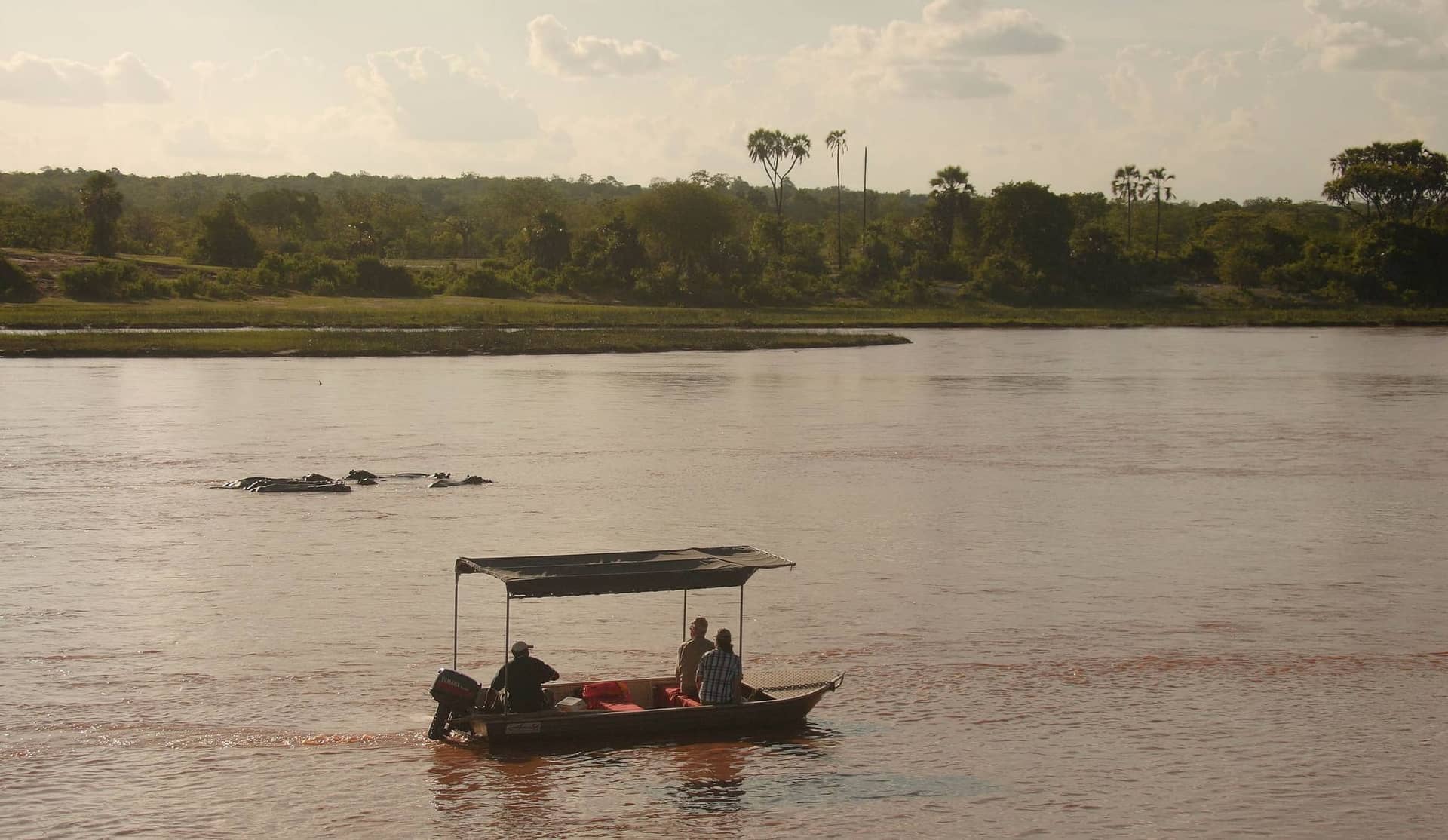 6 Days Big 5 of Selous & Ruaha Safari