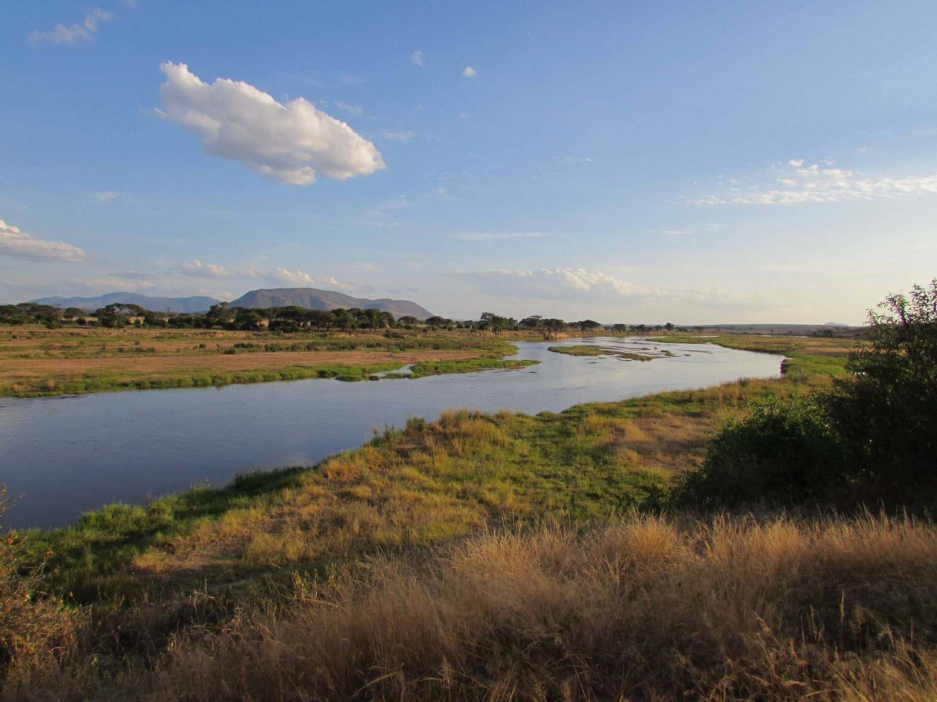 Ruaha National Park – Ruaha National Park Ruaha River