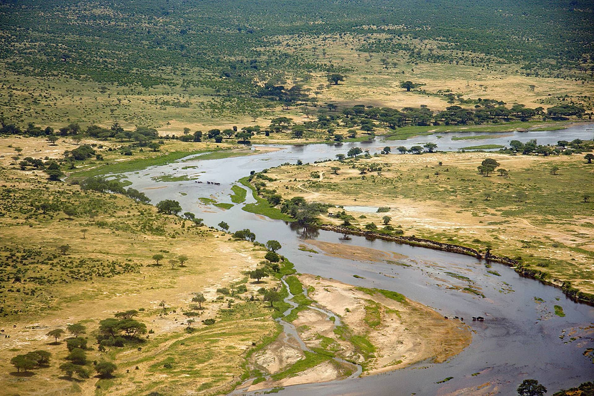 Ruaha National Park – Ruaha National Park Ruaha River