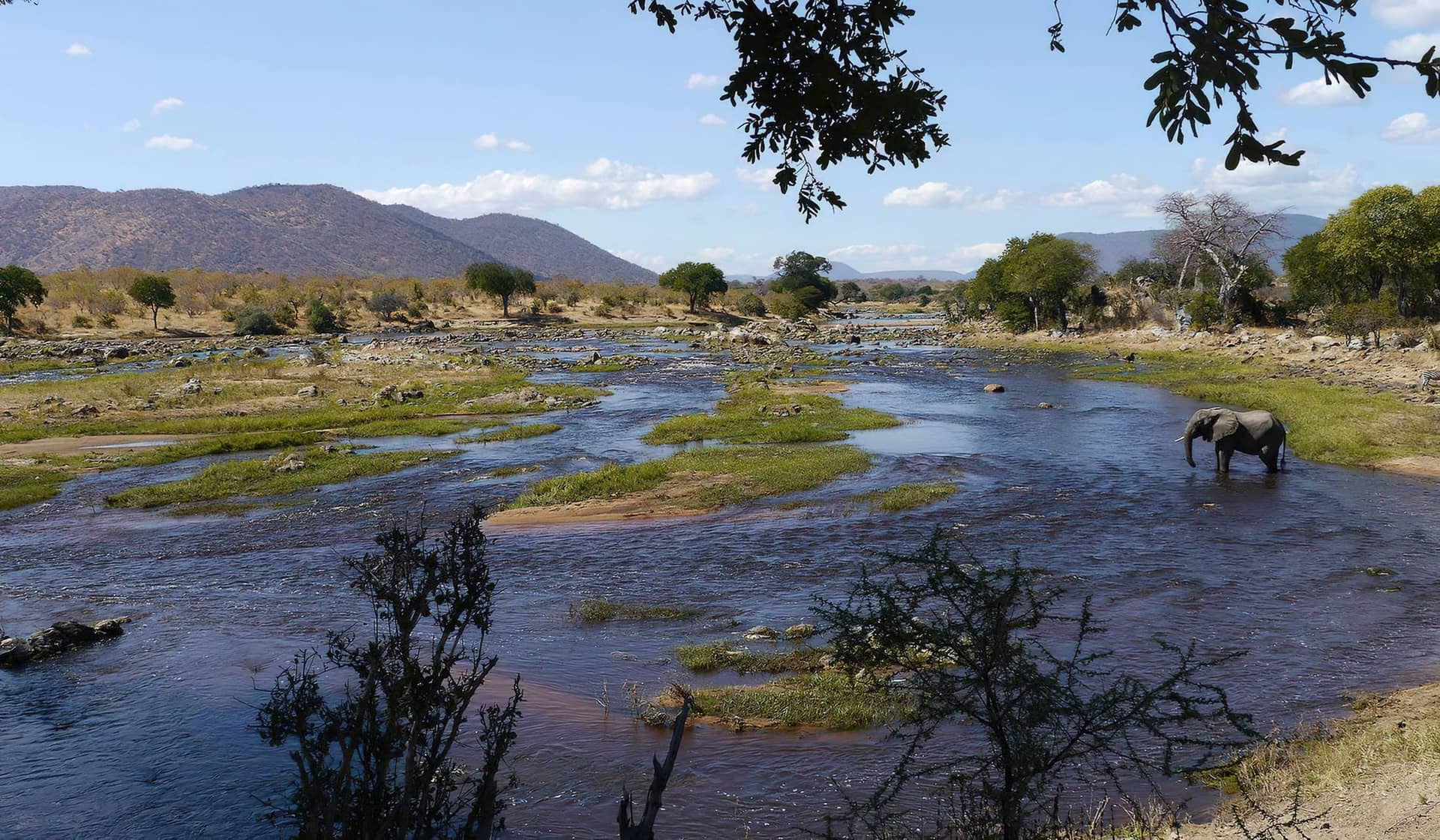 Ruaha National Park – Ruaha National Park Ruaha River