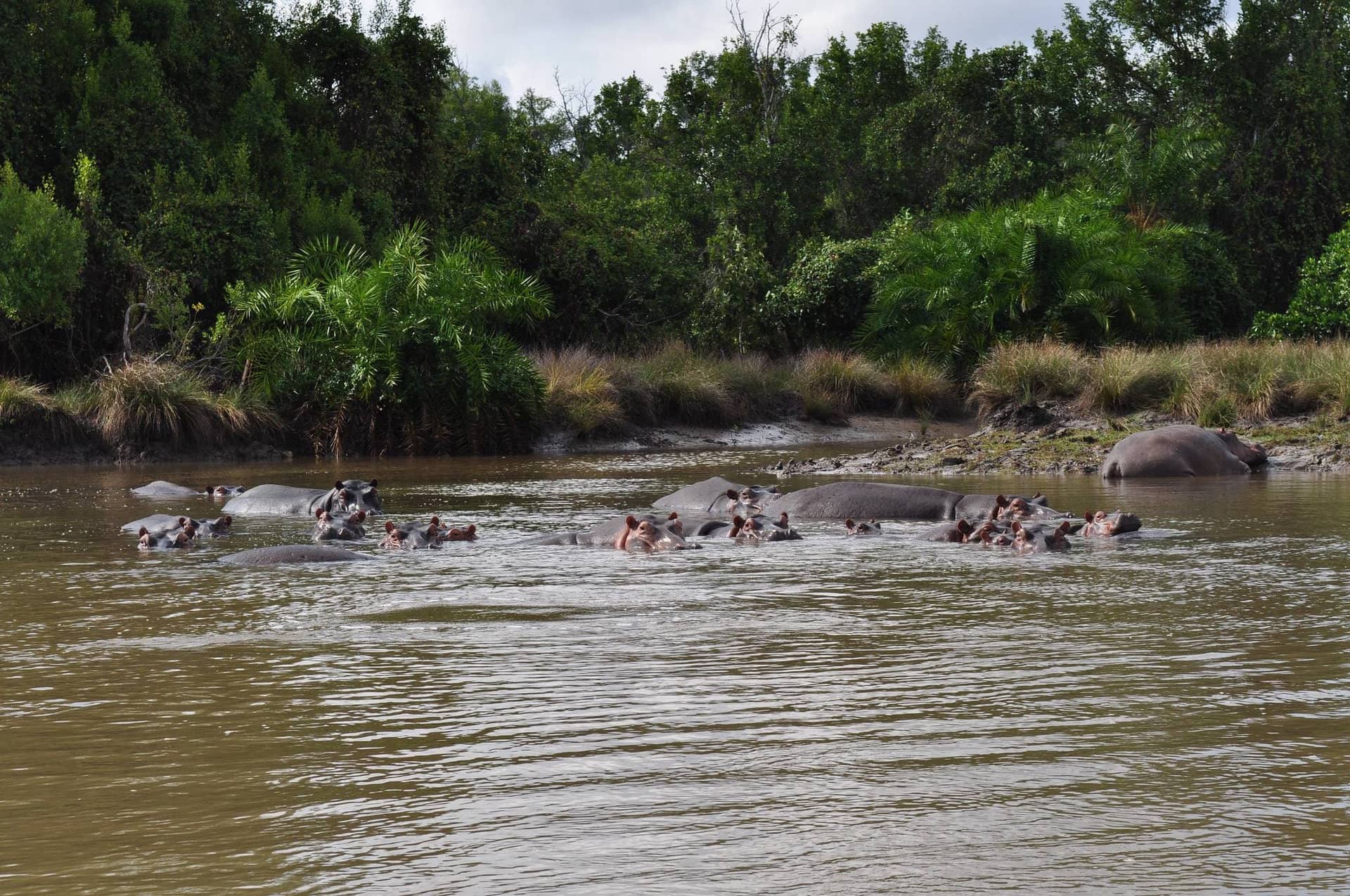 Saadani National Park