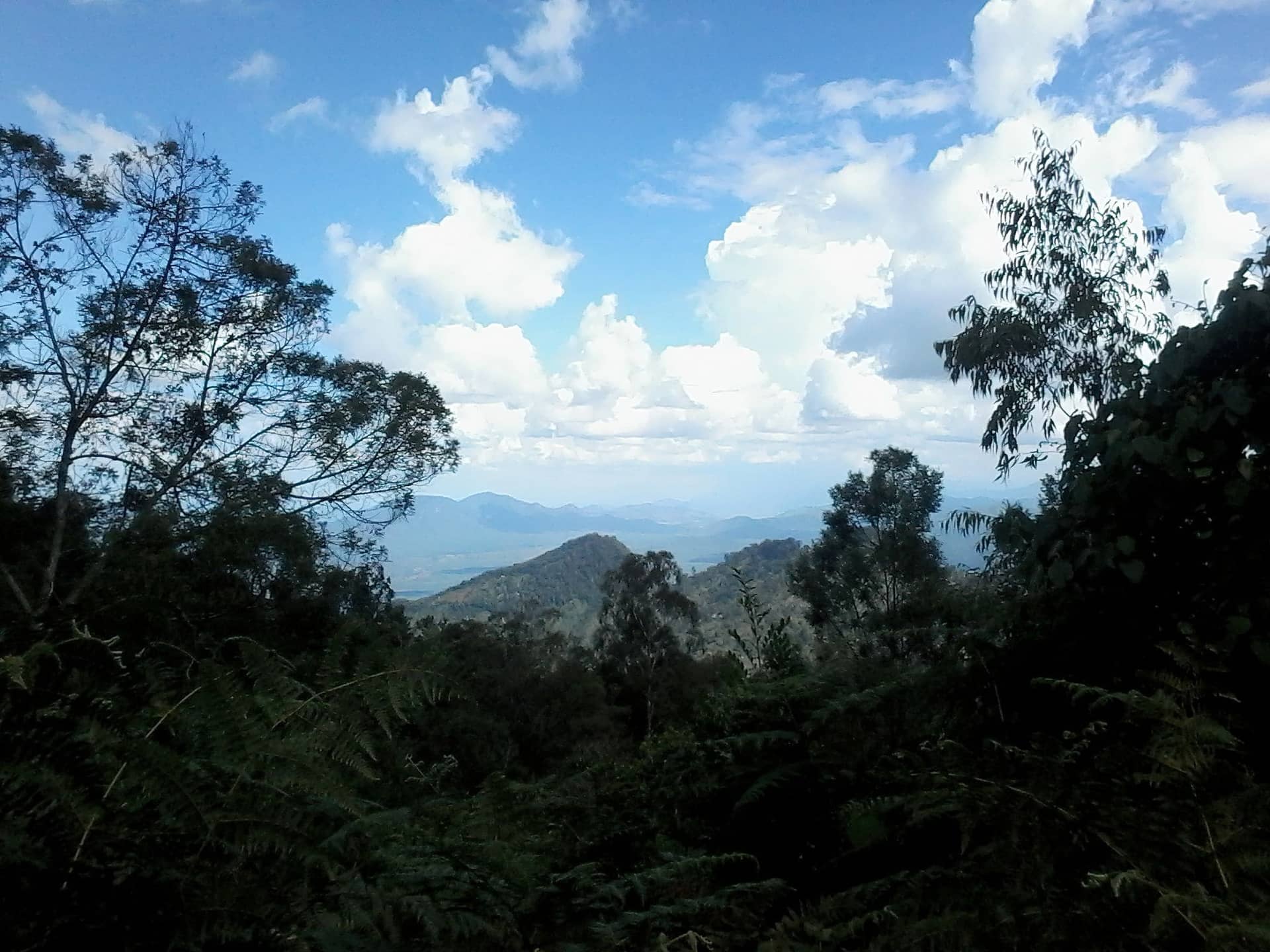 Day Trip to South Pare Mountains