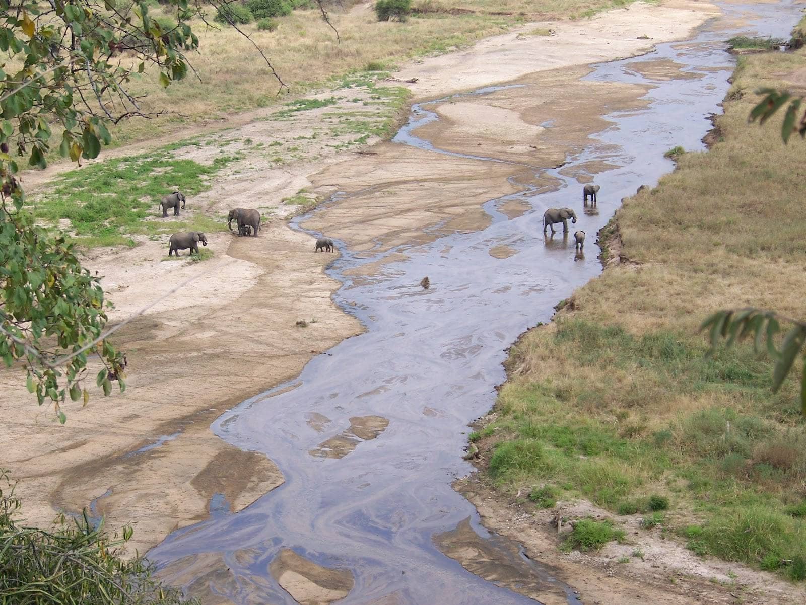 Game Drives