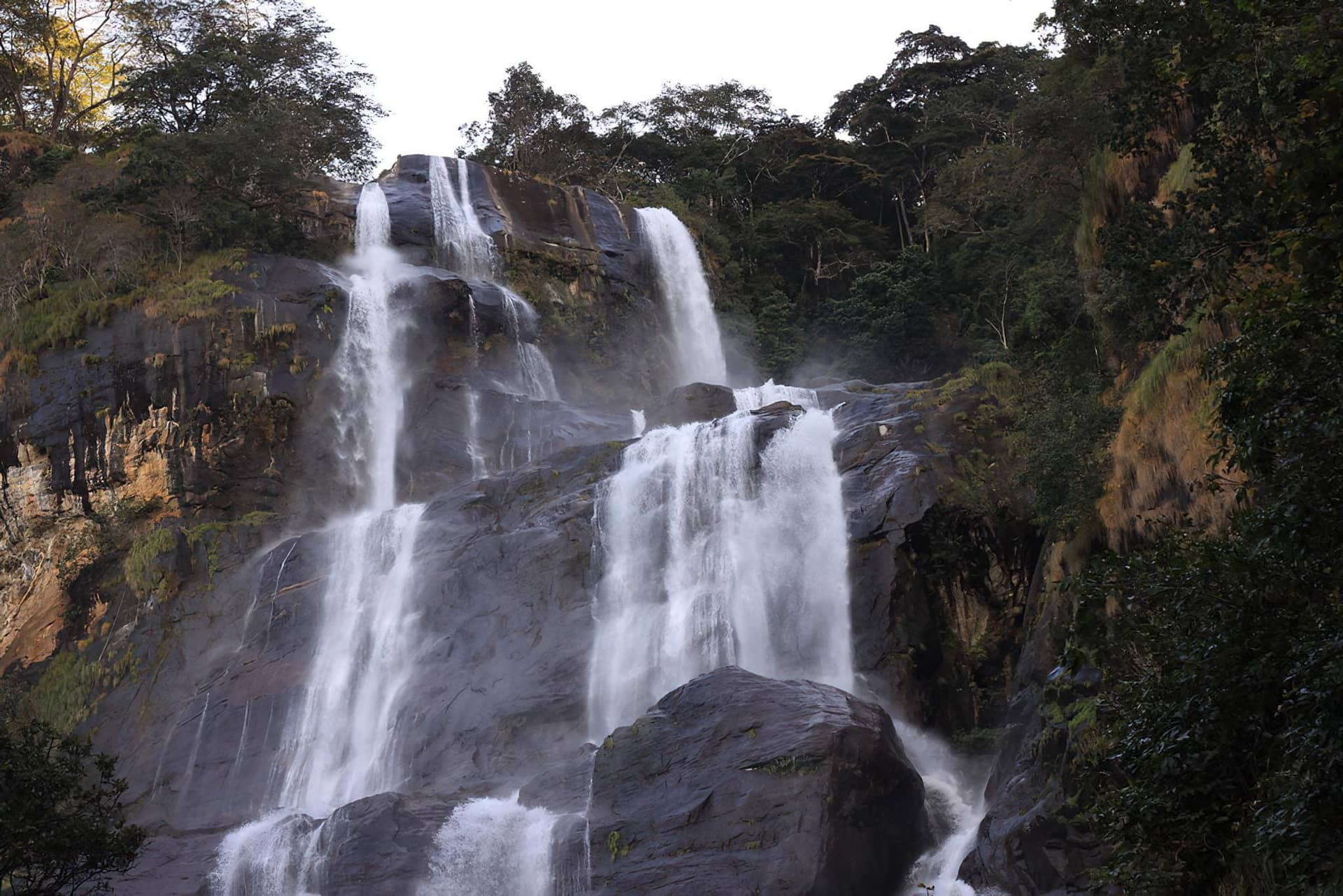 3 Days Safari to Udzungwa & Mikumi National Parks