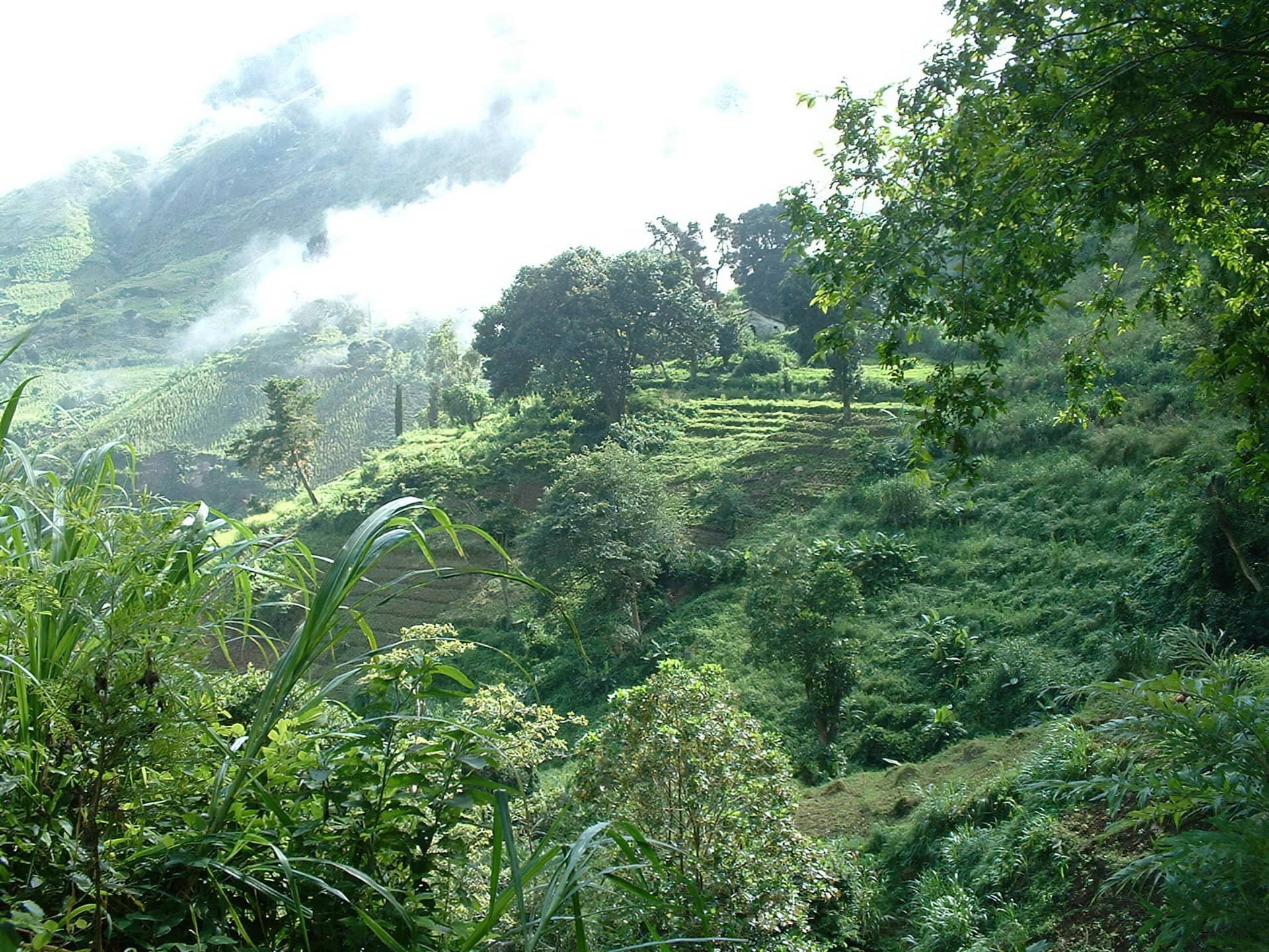 Uluguru Mountains