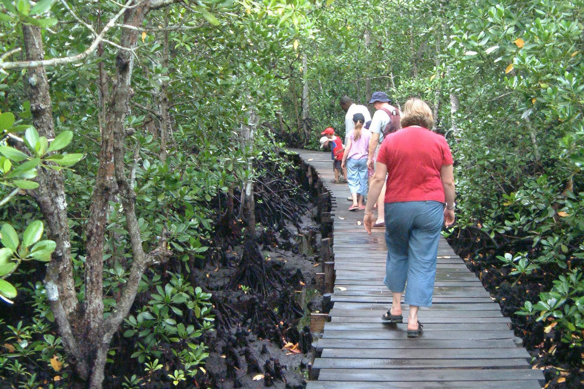 Jozani Chwaka Bay National Park