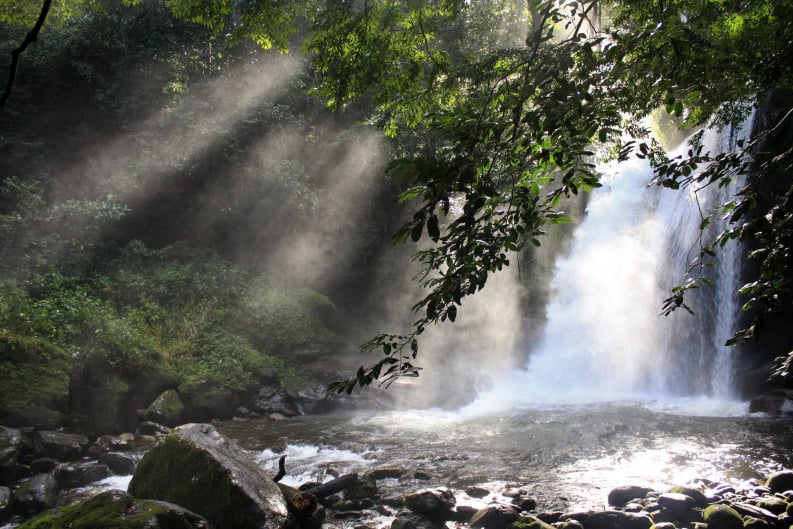 Udzungwa Mountains – photo 1
