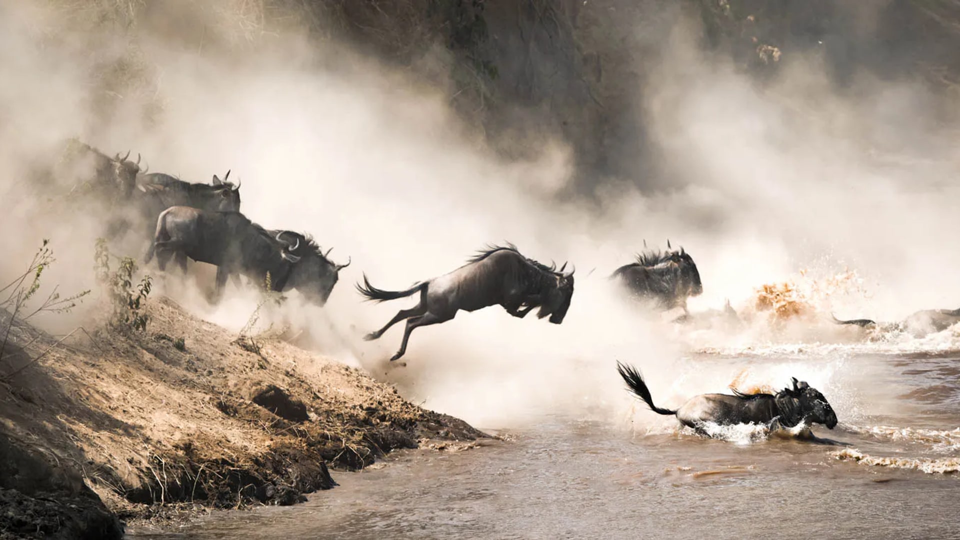 The Great Migration river crossing in Tanzania