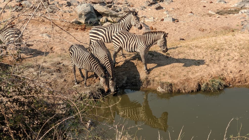 Great Migration river crossing in Tanzania
