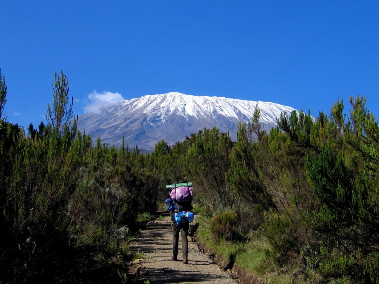 Rongai Route Kilimanjaro