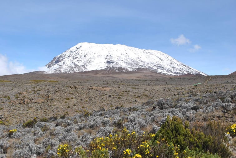 Lemosho Route Kilimanjaro