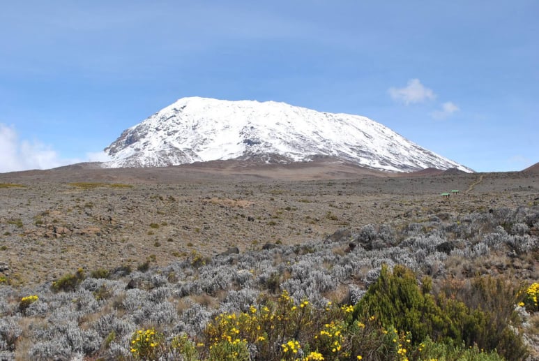 Lemosho Route