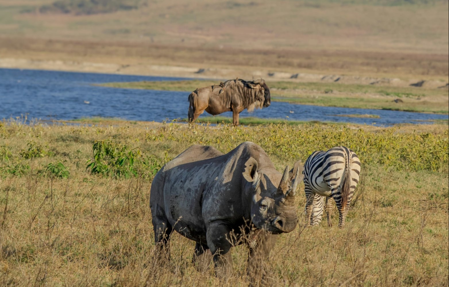 Ngorongoro Crater