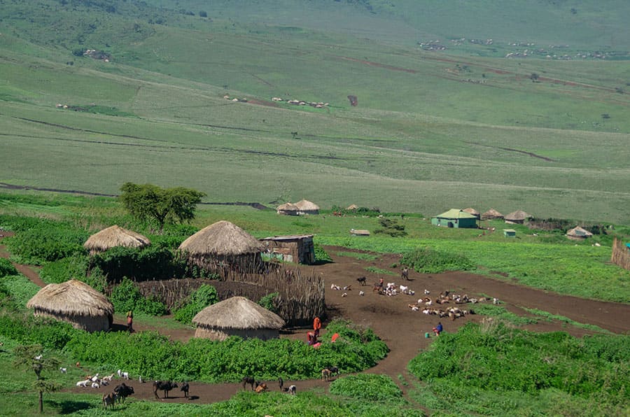 4 Days Serengeti Migration Camping Safari