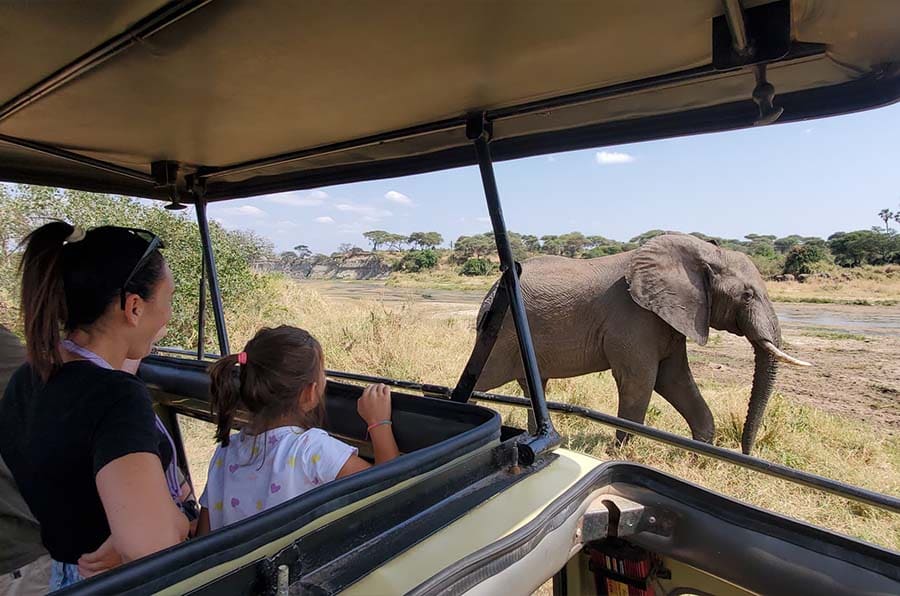 4 Days Tarangire, Serengeti & Ngorongoro Safari