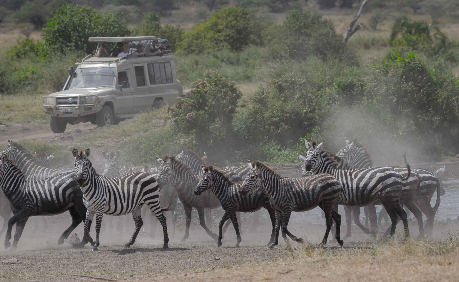 Northern Tanzania’s great wildlife – 9 Days