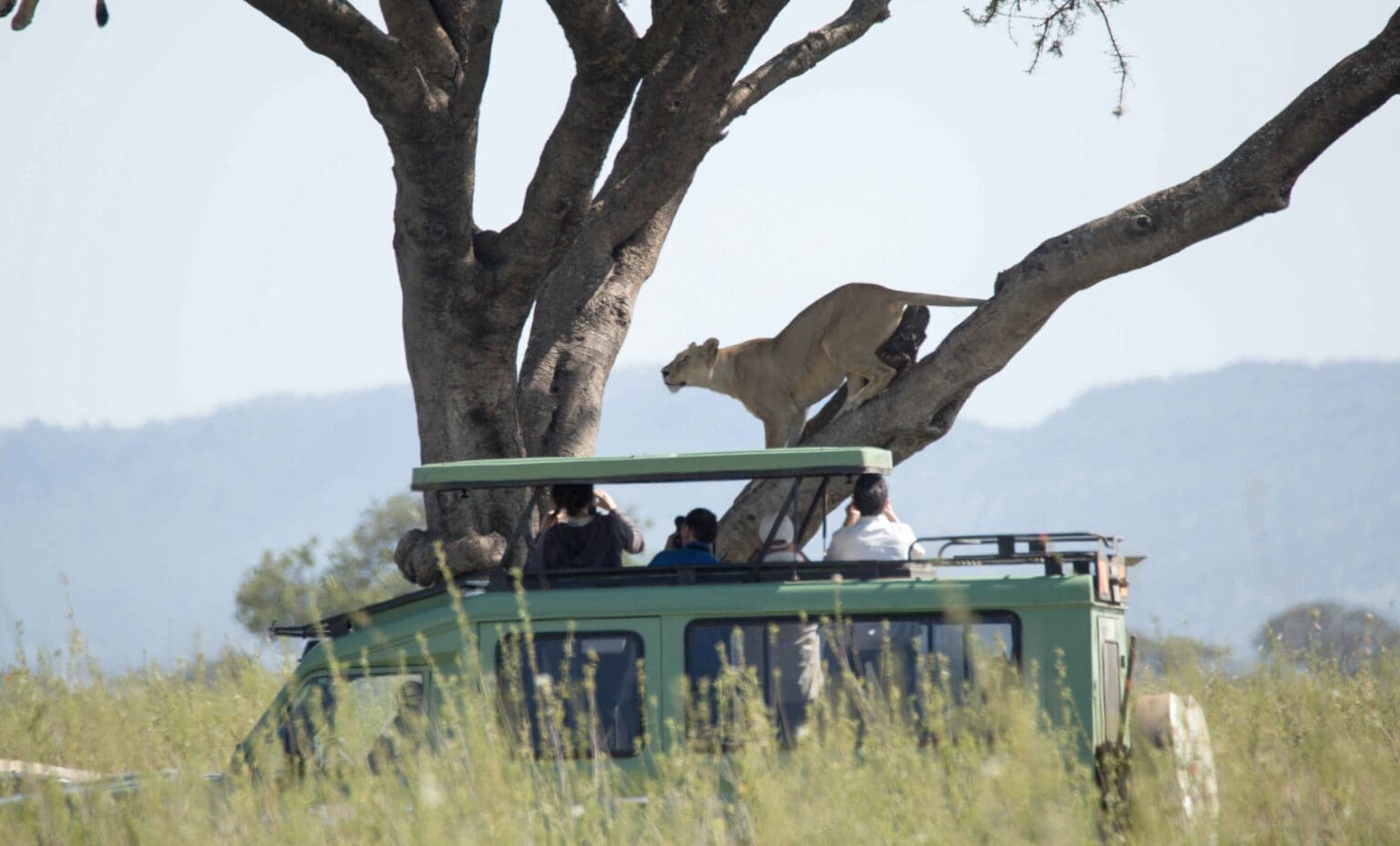 9 Days Premium Luxury Tanzania Safari