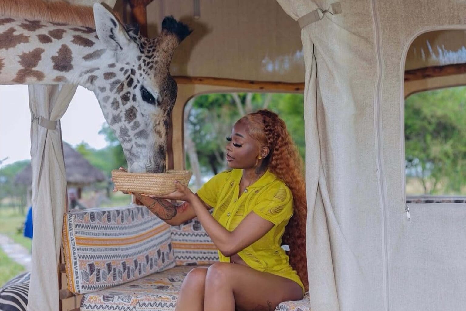 Serval Wildlife Sanctuary Experience