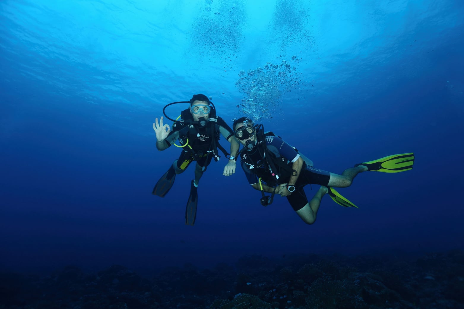 Scuba diving Pemba coral wall