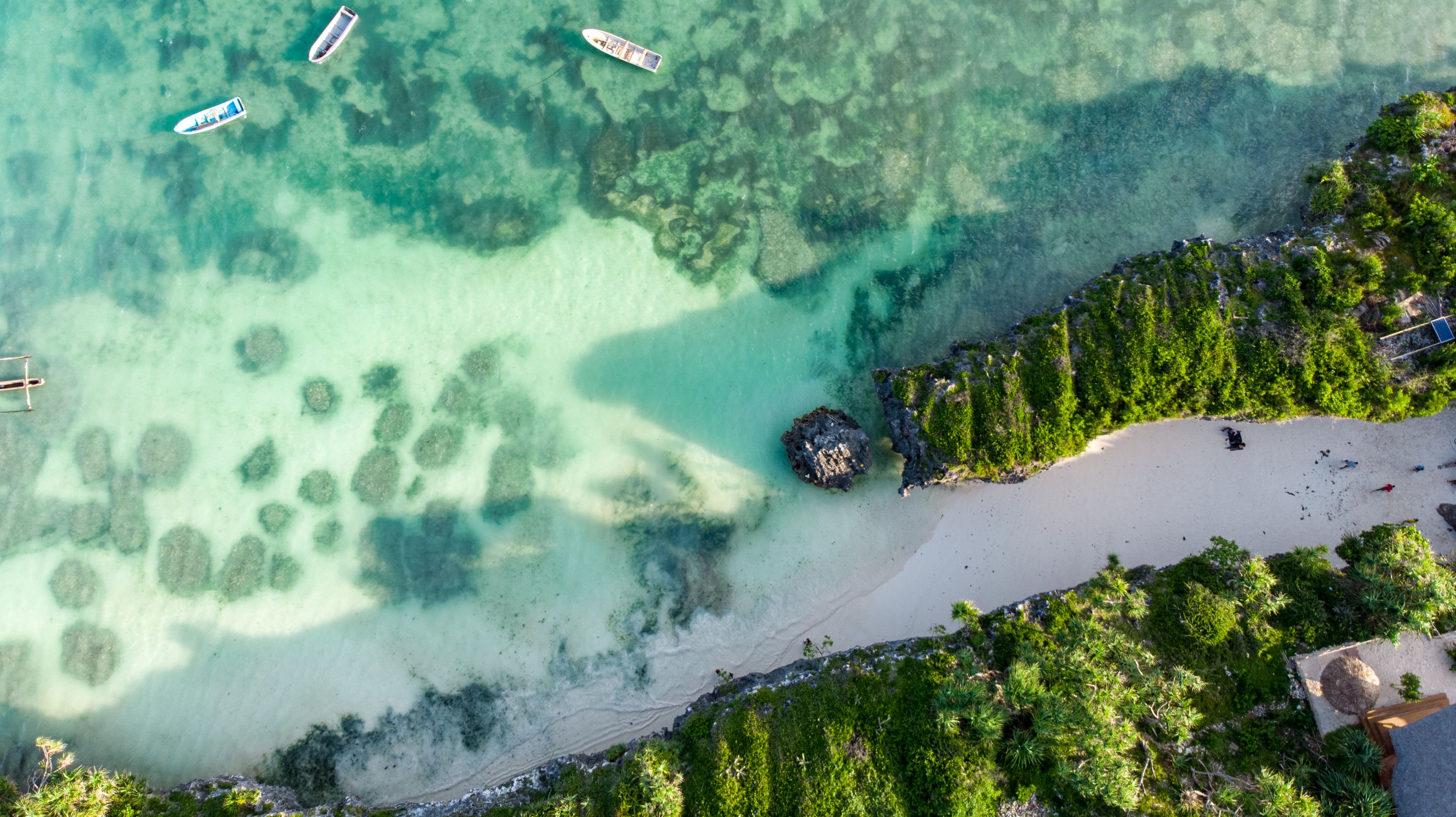 Pemba Island — dense forest meets turquoise ocean
