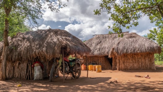 Pemba Island village and clove plantation