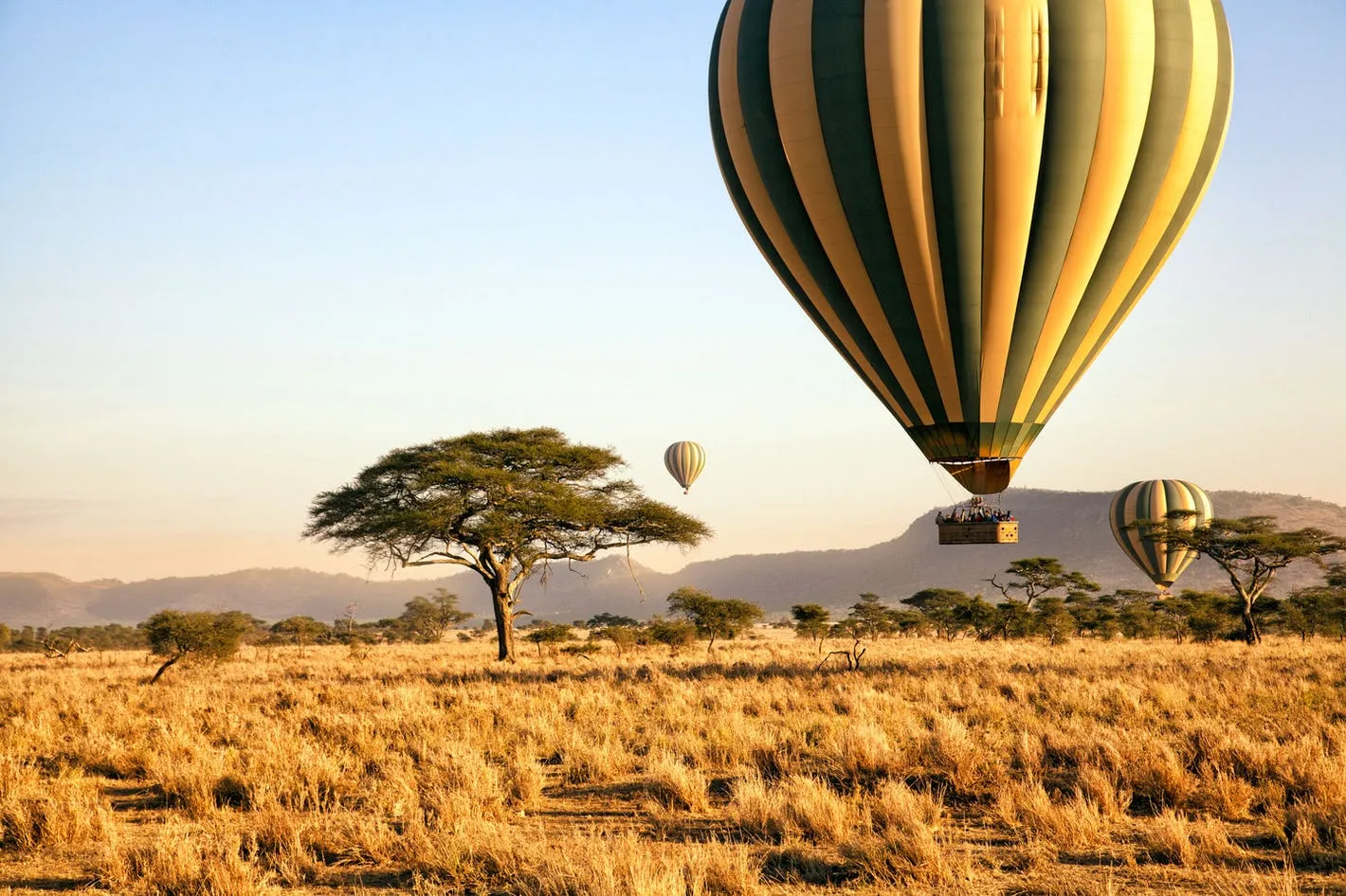 Hot air balloon safari at sunrise over the Serengeti